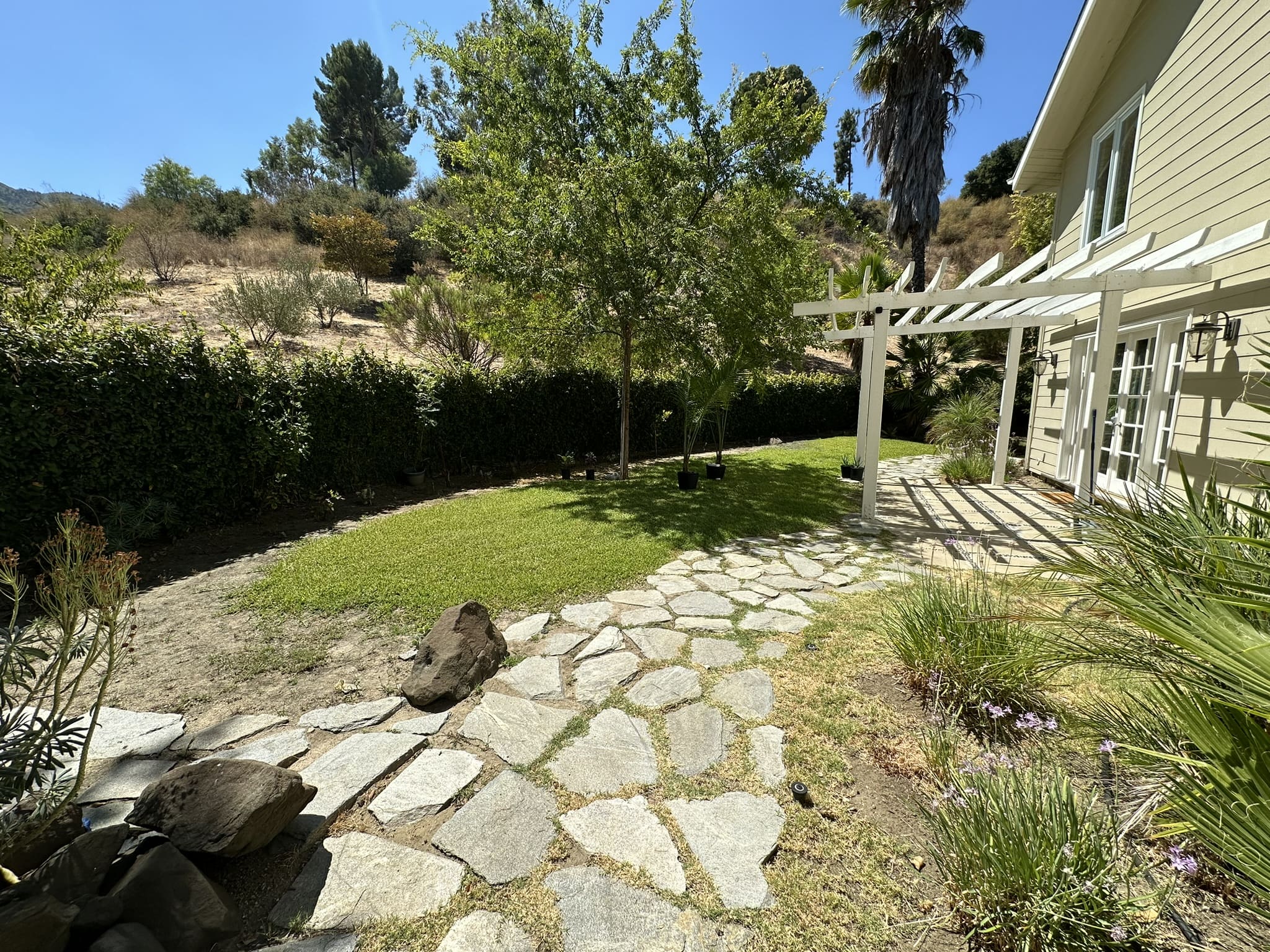 A stone patio with a tree in the background.